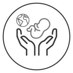 الاستعلام عن طلبات الجديد والبدل